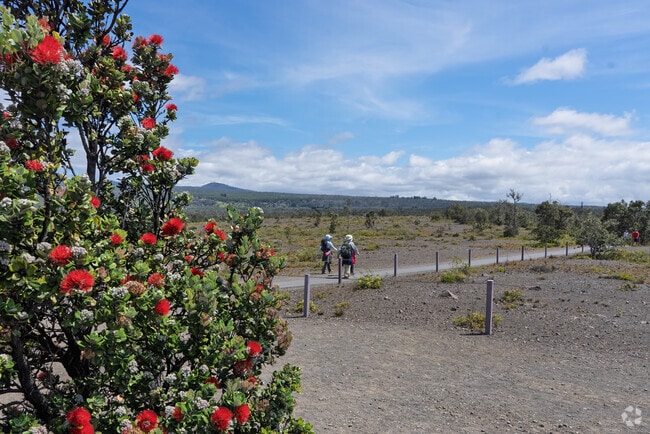 Mountain View is a small, rural community located about 15 miles southwest of Hilo on the Big Island of Hawaii.