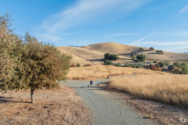 Vista Diablo residents can hike to the top of the Lime Ridge Open Space for incredible views