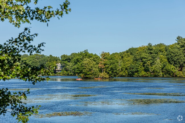 Fox Park in Angleside gives you access to water activities like kayaking.