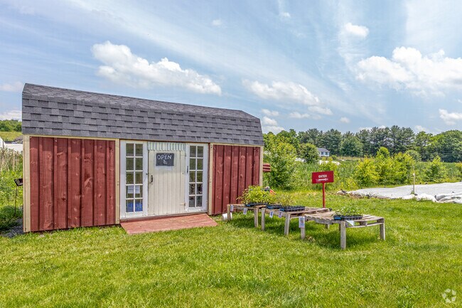 Clear Brook locals experience the best of the valley at Shenandoah Seasonal Farm Store.