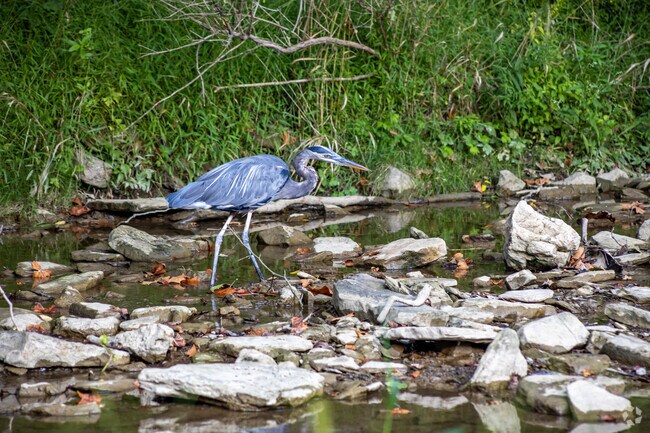 Residents enjoy the beauty of Mingo Creek County Park in Union Township.