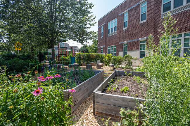 Dallin Elementary School garden in Arlington.