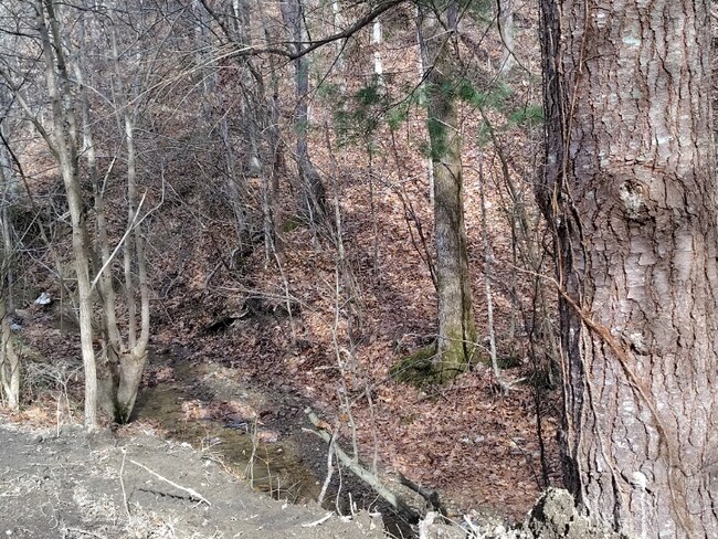 362 Ester Spur Rd, Waynesburg, KY 40489 - photo 6