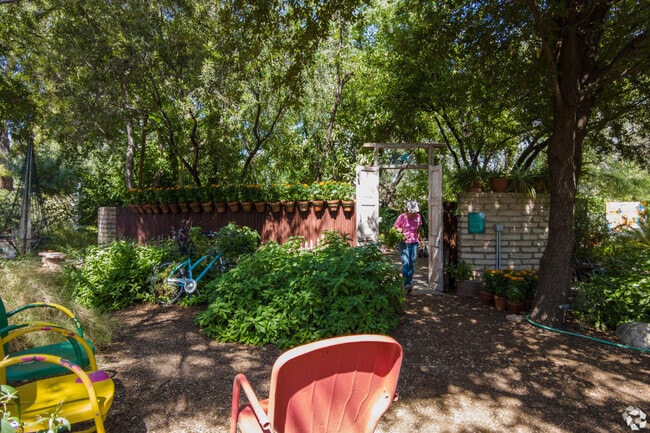 Explore the world-class gardens at Tucson Botanical Gardens.