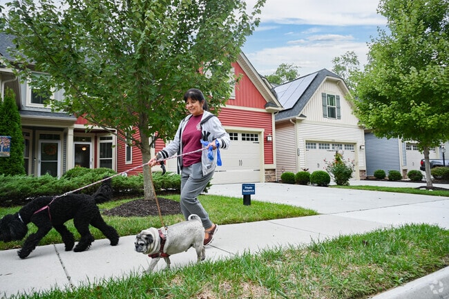 Neighbors are friendly in Rockwood strolling about with their pets.
