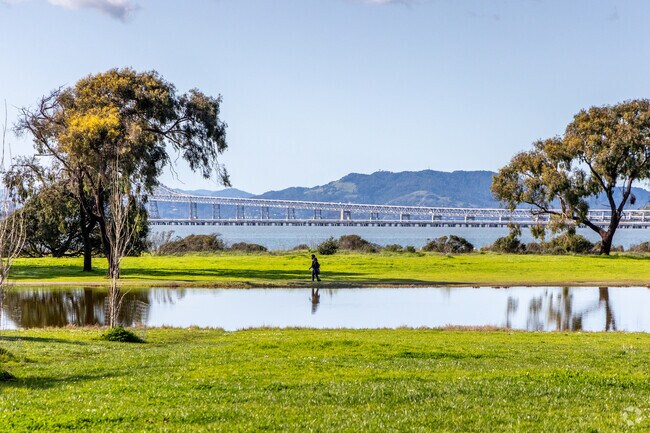 The Miller/Knox Regional Shoreline offers a great place to walk Point Richmond.