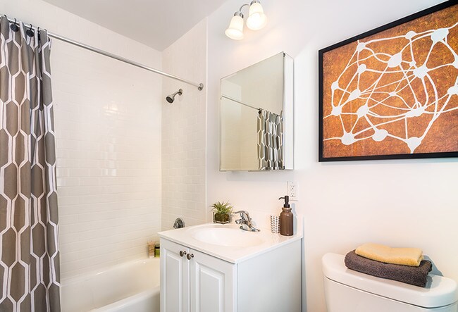 204 Independence Dr, Boston, MA 02467 - photo 7