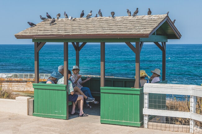 The Village's coastal intrigue attracts visitors, residents and wildlife.