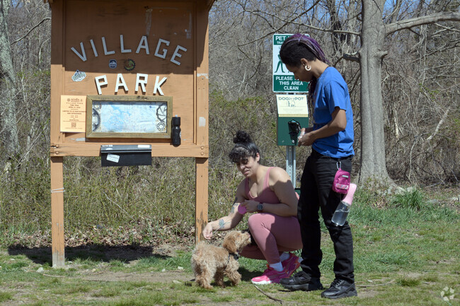 Touisset is near the Swansea Village Park where people and puppies have playful perambulations.