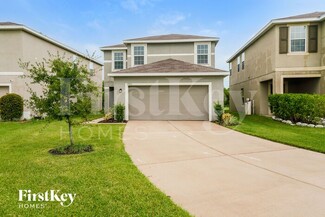 14411 Scottburgh Glen Dr, Wimauma, FL 33598