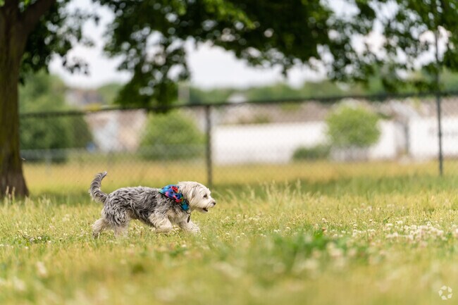 Buffalo's bark yard within Ralph Wilson Park in Waterfront is the closest dog park to downtown.