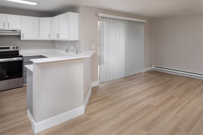 Renovated Kitchen and Living Area