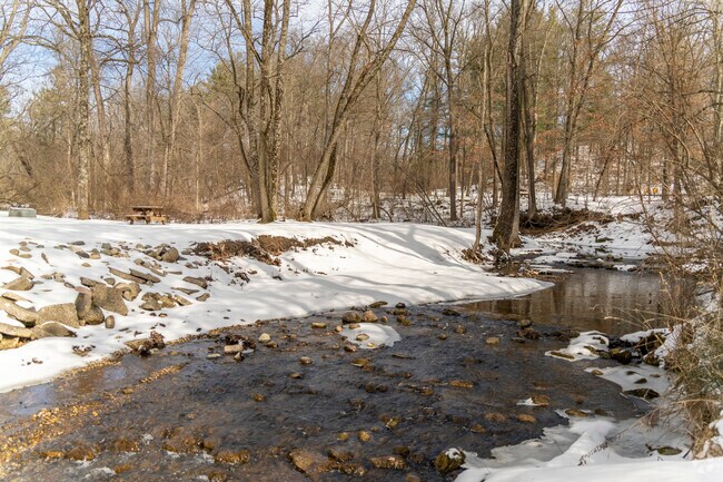 Locals enjoy camping on Bellamy Creek in Bertha Brock Park.
