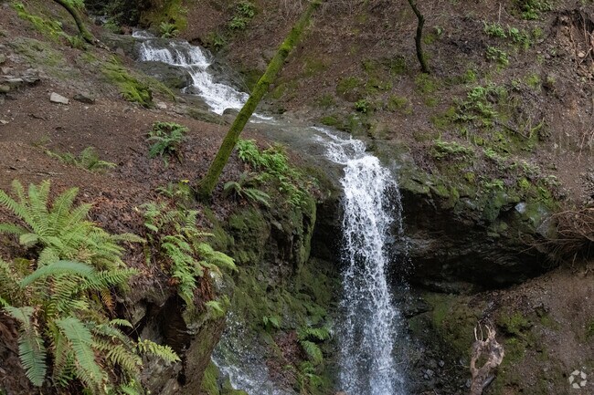 Hikers are rewarded during their hike of about an hour along the Dawn Falls Trailhead.