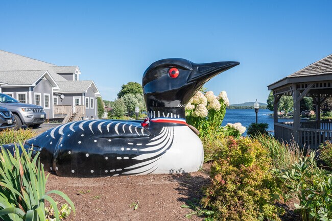 The Loon Olympics celebrates loons that call Lincoln their home.