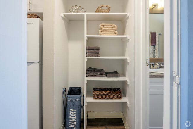 1BR, 1BA - 480SF - Closet