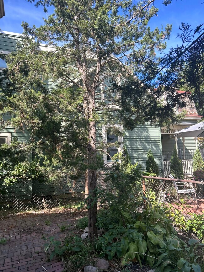 Fenced backyard
