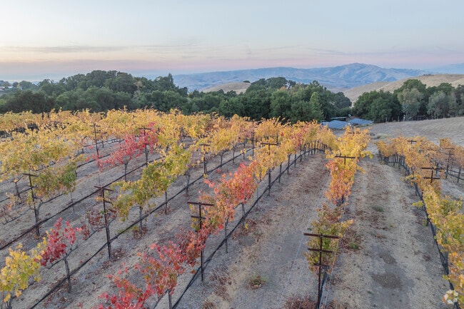 Weibel's Mission Peak Wine grows wine grapes surrounded by gorgeous views.