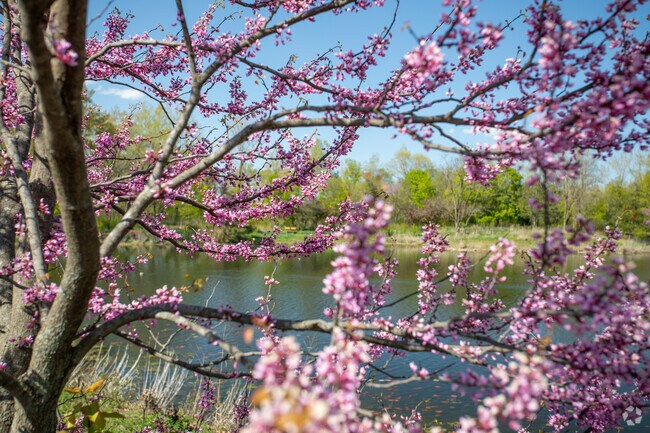 Lake Katherine is a picturesque neighborhood nestled in Palos Park.