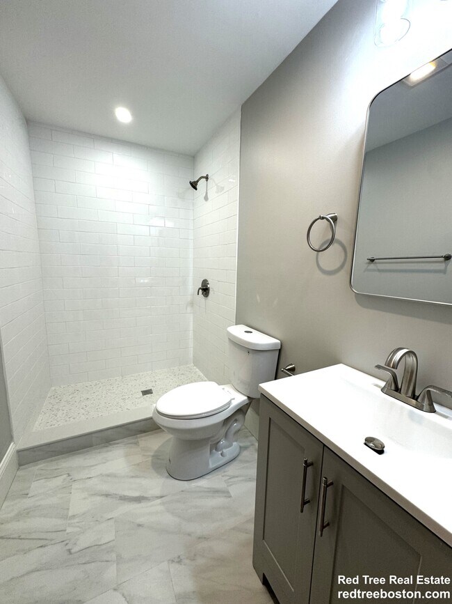 46 Spring Park Ave, Jamaica Plain, MA 02130 - photo 5