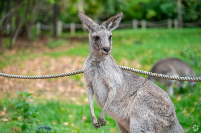 Looking for something to do? Hop on over to the Fort Wayne Children's Zoo.