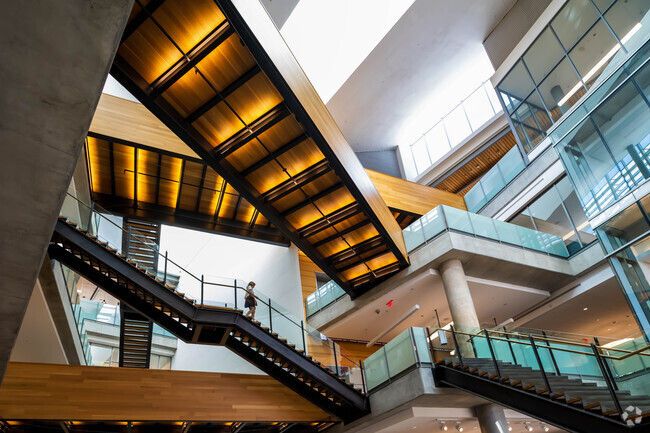 Austin Public Library offers a vast collection of books, digital resources, and programs.