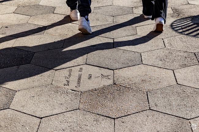 Walk the square in Covington to find the Walk of Stars from films and TV shows that took place here.