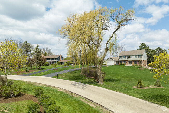 Take a ride down one of the shaded streets of Kildeer and find Swamp White Oak or Katsura trees.