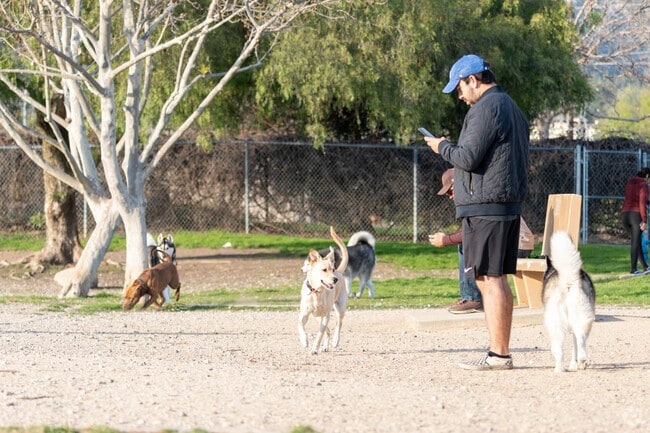 Locals enjoy some of the dog parks located throughout the neighborhood of Orange Heights.