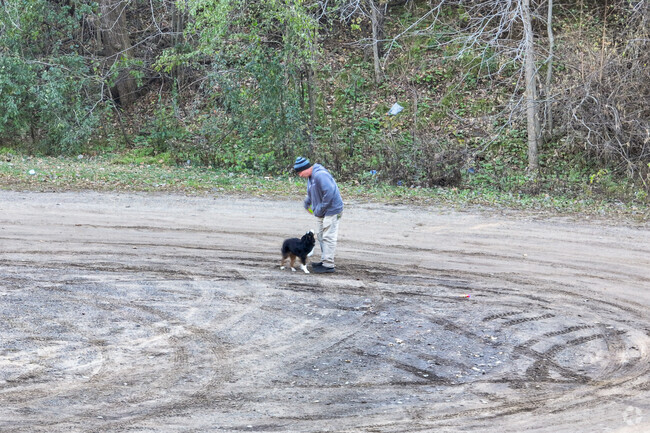 Residents often walk over to Village Park's walking trails leading down to Apple River.