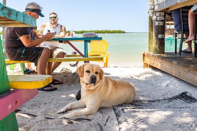 Residents can bring their dogs to eateries in Isles of Capri.