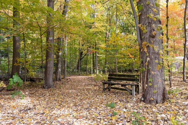 Beechwood Nature Trail in Freeland is great for a stroll in every season.