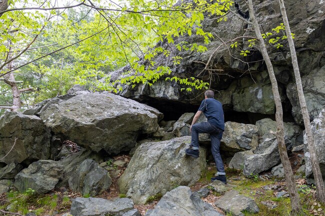Climb up to Dengeon Rock in the Lynn Woods Reservation and see what the history is all about.