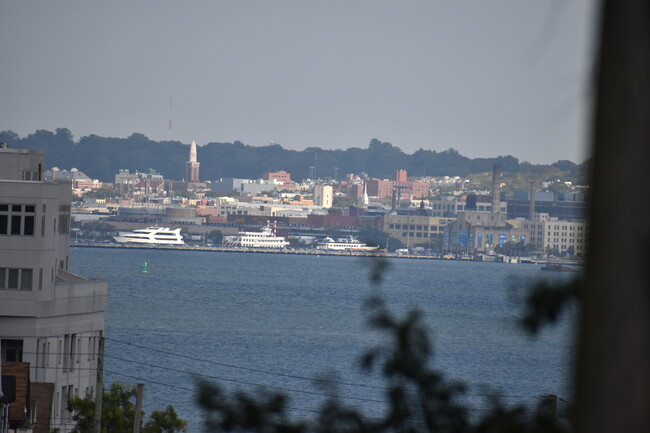 Harbor View
