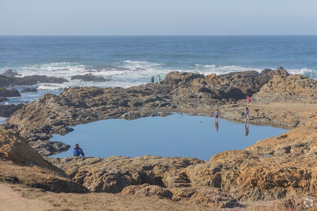 Fort Bragg's famous glass beach is a popular spot to find ocean glass washed up on shore.