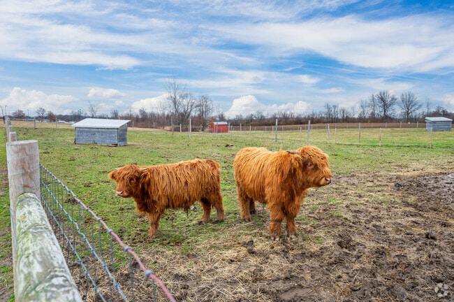 Come to Fort Wayne's Salomon Farm and say hello to Frankie and Mickey.