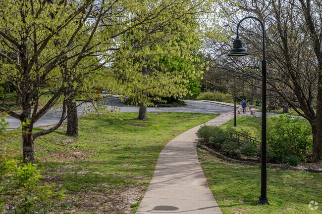 The walking paths winding through the trees of Wilson Park.