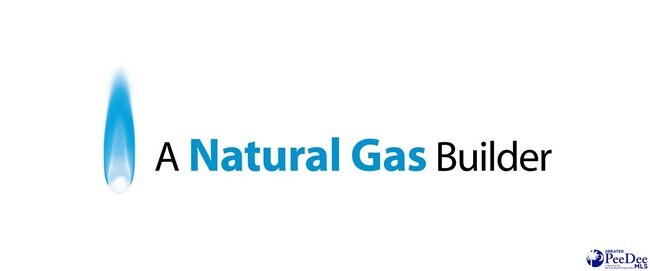 1171 Summer Duck Loop, Florence, SC 29501 - photo 4