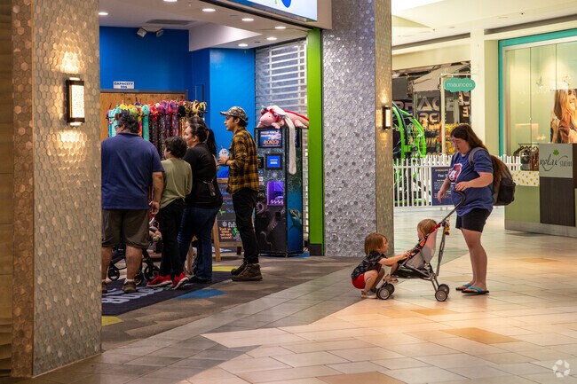 Visit the Blue Zoo Aquarium for an afternoon of fun near Ketch Acres.