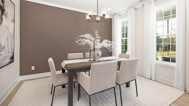 3023 Canvasback Way, Indian Trail, NC 28079 - photo 6