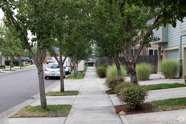 Enjoy a leisurely stroll down tree lined sidewalks in Marrion.