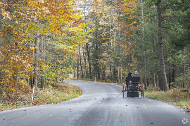 Susquehanna is extremely rural and abuts Amish farm country in Western PA.