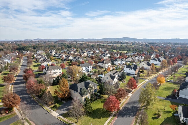 Bethlehem Township neighborhoods often include tree-lined sidewalks.