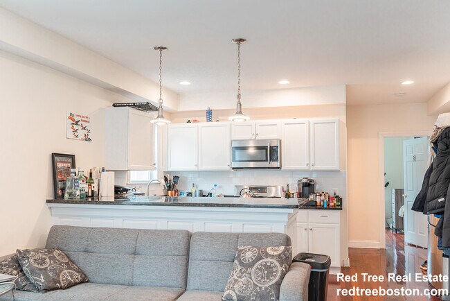 14 Duval St unit 1, Boston, MA 02135 - photo 7