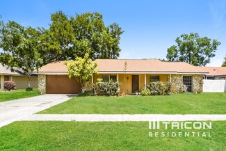 3501 Calgary Ln, Mount Dora, FL 32757