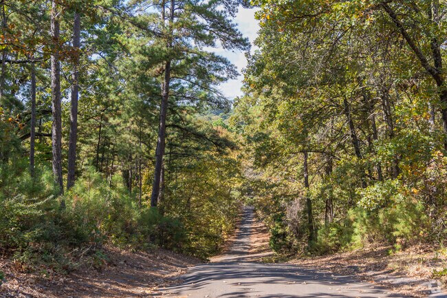 The Villages is full of tree-lined roads with lots of privacy.
