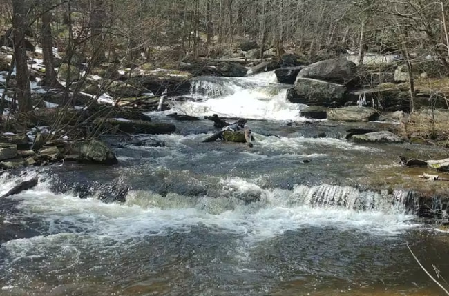 60 Ruth Way Rd, Bethel, NY 12778 - photo 5