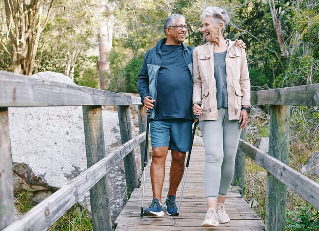 Chorus Asheville 55+ Active Adult Apartment Homes, Asheville, NC 28806 - photo 6