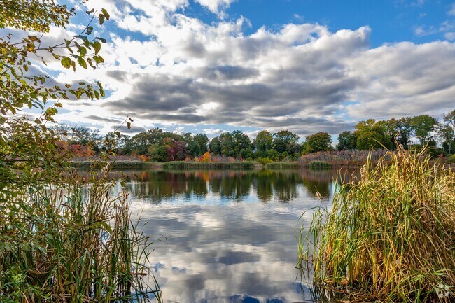 Eden Park residents love the calming views at Blackamore Pond on the west side.