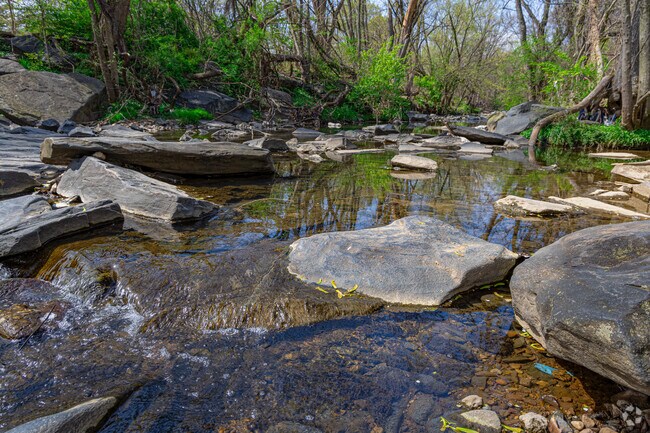 Enjoy abounding nature along the walking trail at Moore's Run Park in Cedonia.